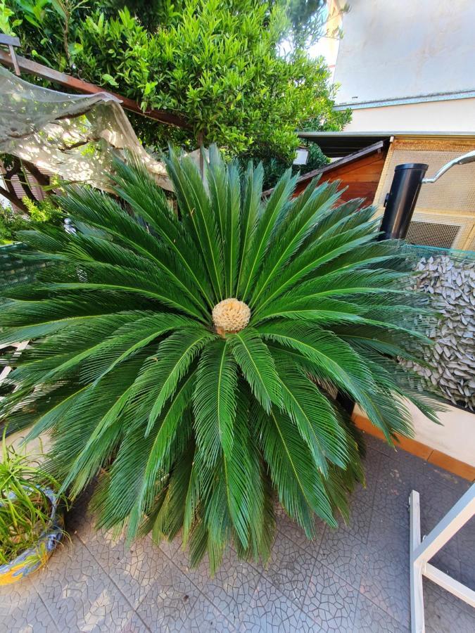Ferienwohnung My Dream House Angri Exterior foto
